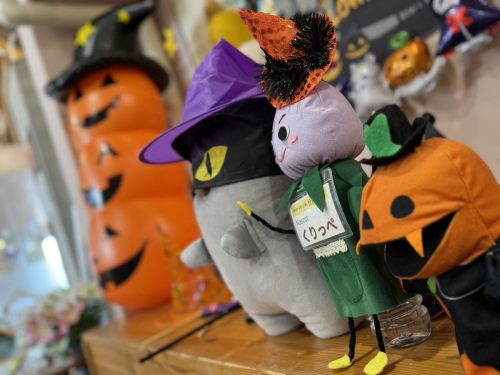 ギャラリー写真